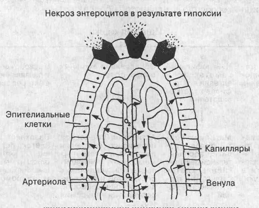 059-7.jpg