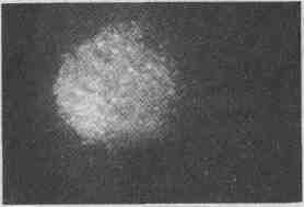 tmpC1F0-6.jpg