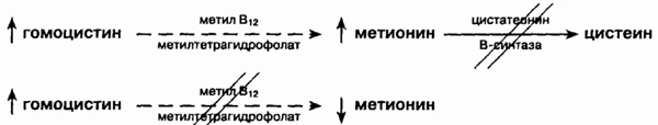 head11-3.jpg