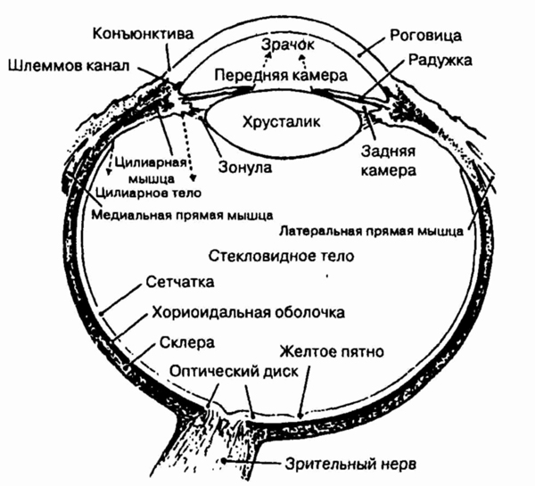 head15-7.jpg