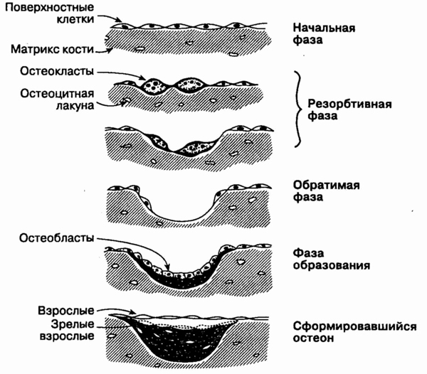 head16-2.jpg