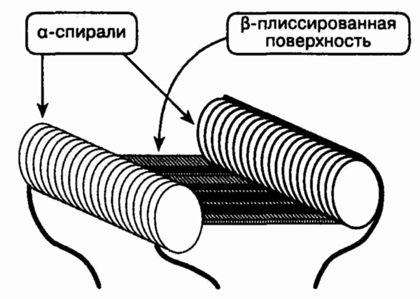 head3-5.jpg