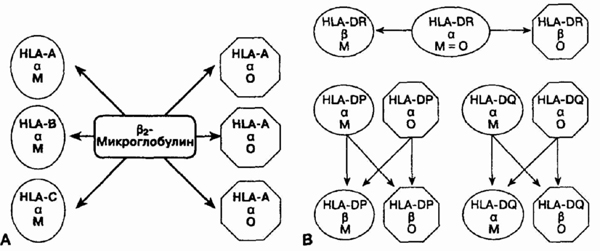 head3-7.jpg