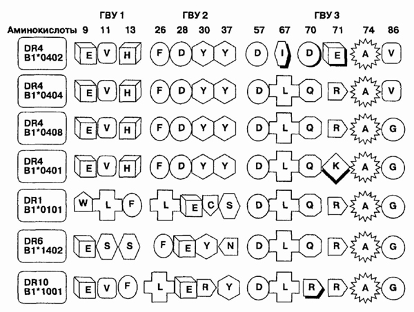 head3-9.jpg