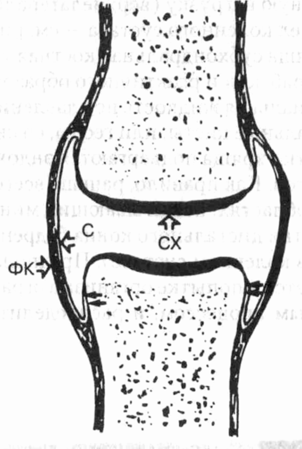 head4-5.jpg