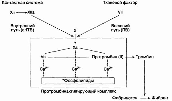 head5-17.jpg